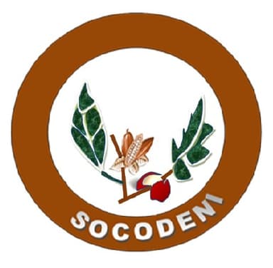 Socodeni